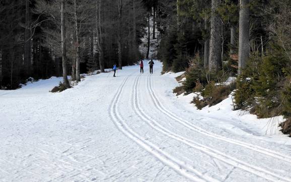 Ski nordique Zwieseler Winkel – Ski nordique Arber