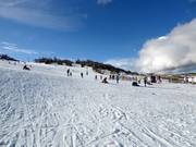 Piste facile Woodrun