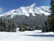 Piste pour débutants Flap Jack