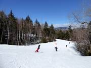 Piste facile Green Cheese