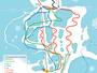 Plan des pistes Terre Ronde/La Praille – Plateau d’Hauteville
