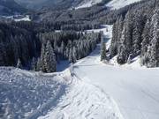 Liaison vers le téléski Bärenbadlift