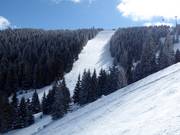 Piste difficile n° 19c Gvozdac