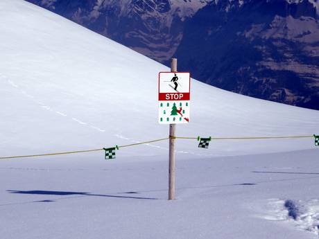 Vallée de Lauterbrunnen: Domaines skiables respectueux de l'environnement – Respect de l'environnement Kleine Scheidegg/Männlichen – Grindelwald/Wengen