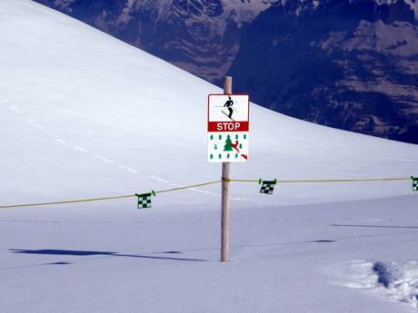 Espace Mittelland: Domaines skiables respectueux de l'environnement – Respect de l'environnement Kleine Scheidegg/Männlichen – Grindelwald/Wengen