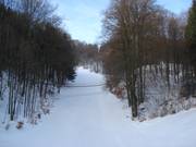 Descente en forêt au téléski Wurzelbrunnen