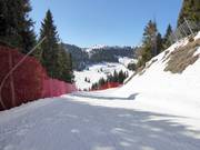 Piste Variante Tre Sassi n° 27b