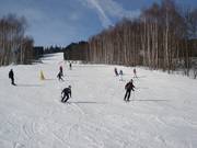 Piste Pánská