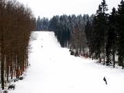 Pente de compétition vue d'en bas