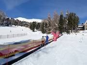 Zone débutants à Suvretta