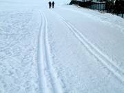 Piste de ski de fond à Flachau