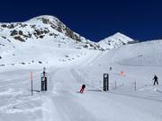 Parcours de vitesse à Fischeralp avec prise de photos