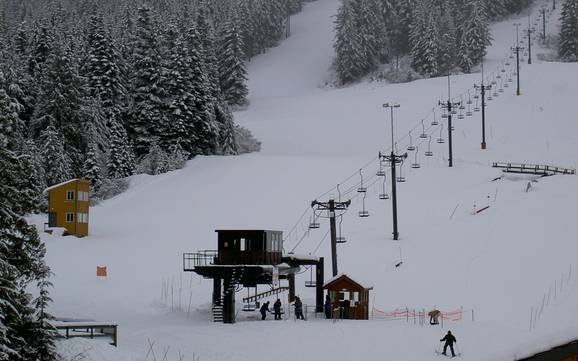 Skier près de Government Camp