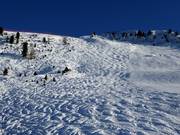 Piste à bosses au Ciampinoi