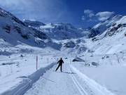 Piste de ski de fond jusqu’à l’extrémité du glacier de Morteratsch