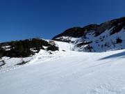 Orlove glave-Zadnji Vogel n° 11