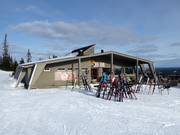 Chalet de restauration recommandé : Aurinko Ravintola