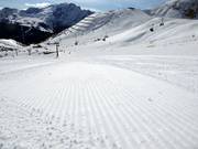 Piste parfaitement préparée au Col Rodella
