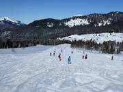 Pour les débutants : piste plate et large Roßalm (Winklmoosalm)