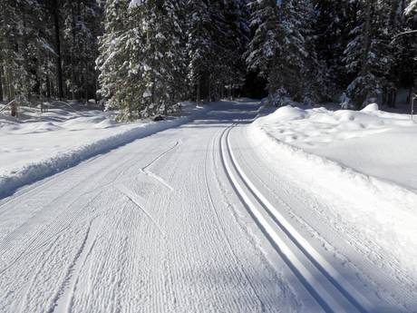 Ski nordique Alpes uranaises – Ski nordique Titlis – Engelberg