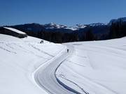 Piste de ski de fond sur la Winklmoos-Alm
