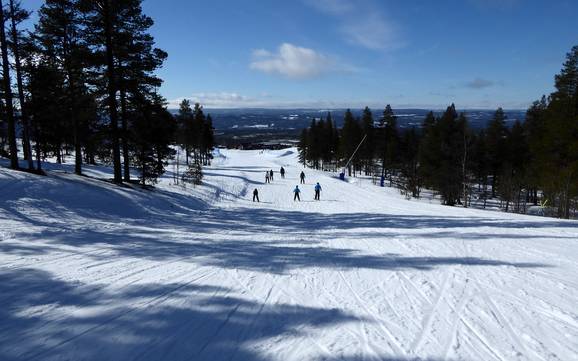 Skier en Suède centrale