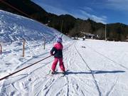 Téléski dans le paradis des débutants