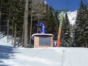 Cabane de remontée décorée de façon amusante