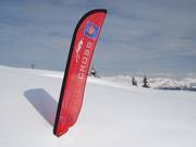 Départ du parcours de cross au Mont Bisanne