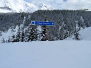 Signalisation des pistes au Castle Mountain