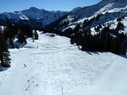 Piste facile de Mellau à Damüls