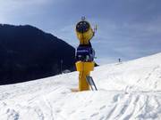 Canon à neige haute performance au Hocheck