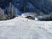 Terrain idéal pour débutants au téléski d'entraînement Kreisten