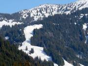 Vue sur la piste Kreuzleabfahrt au Riedberger Horn