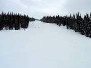 Large piste Snow Rodeo