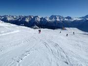 Piste facile n° 10 Aletsch