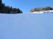 La descente nord difficile du Rittisberg