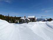 Chalets avec accès direct aux remontées mécaniques et aux pistes