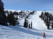 Vue sur la piste Källbacken à Hundfället