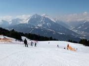 Piste familiale facile