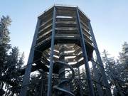 Bon plan pour les enfants : 