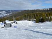 Backyardheisen (N) - Téléski