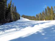 Piste intermédiaire Crazy Canuck