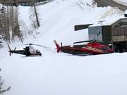 Heliski Powderbird