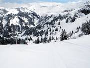 Même à midi, on trouve encore de telles pistes.