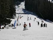 Zone d'entraînement avec tapis roulant à Bunderishka Polyana