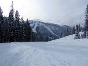 Piste facile dans le domaine skiable Whitewater