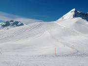 Larges pistes au Gotschnagrat