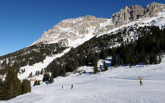 Skier dans le Val di Fiemme (Fleimstal)