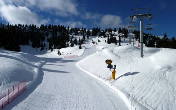Diversité des pistes Vicence – Diversité des pistes Folgaria/Fiorentini